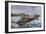 Lobster Fishermen in the Grand Manan Channel Between Maine and New Brunswick, 1890s-null-Framed Giclee Print