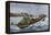 Lobster Fishermen in the Grand Manan Channel Between Maine and New Brunswick, 1890s-null-Framed Premier Image Canvas