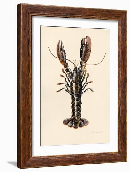 Lobster from Solva, 2014-Alison Cooper-Framed Giclee Print