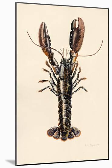 Lobster from Solva, 2014-Alison Cooper-Mounted Giclee Print