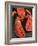 Lobster (Homarus Americanus)-Nico Tondini-Framed Photographic Print