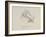 Lobster Mending Clothes, Nonsense Botany Animals and Other Poems Written and Drawn by Edward Lear-Edward Lear-Framed Giclee Print