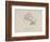 Lobster Mending Clothes, Nonsense Botany Animals and Other Poems Written and Drawn by Edward Lear-Edward Lear-Framed Giclee Print