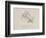 Lobster Mending Clothes, Nonsense Botany Animals and Other Poems Written and Drawn by Edward Lear-Edward Lear-Framed Giclee Print