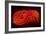 Lobster Neon Sign-Lantern Press-Framed Art Print