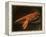 Lobster on a Delft Dish-Charles Collins-Framed Premier Image Canvas