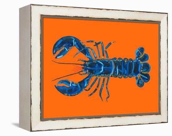 Lobster on Orange-Alice Straker-Framed Premier Image Canvas