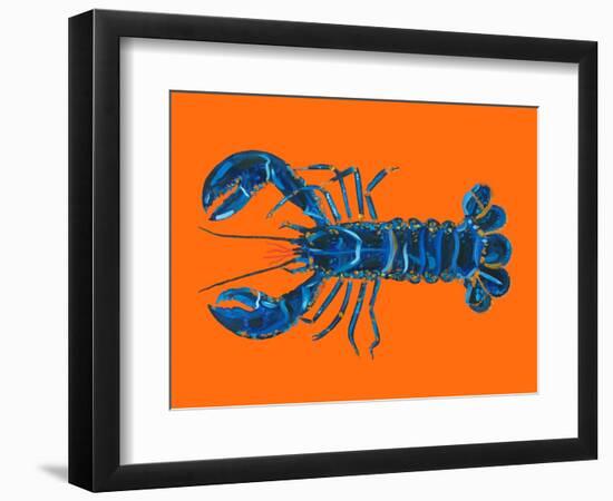 Lobster on Orange-Alice Straker-Framed Photographic Print