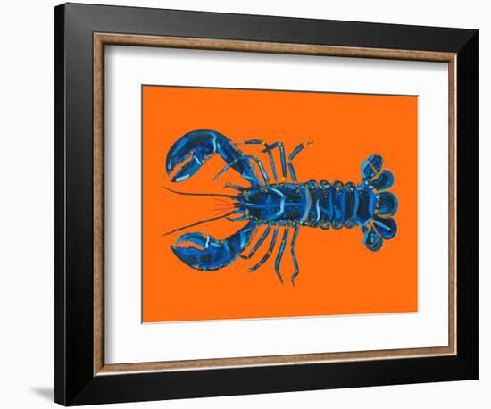 Lobster on Orange-Alice Straker-Framed Photographic Print