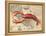 Lobster print on Nautical Map-Fab Funky-Framed Stretched Canvas