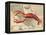 Lobster print on Nautical Map-Fab Funky-Framed Stretched Canvas