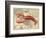 Lobster print on Nautical Map-Fab Funky-Framed Art Print