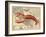 Lobster print on Nautical Map-Fab Funky-Framed Art Print