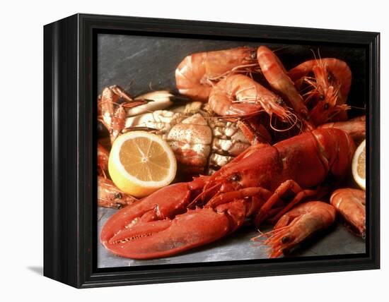 Lobster, Shrimp and Crab-Steven Morris-Framed Premier Image Canvas