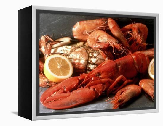 Lobster, Shrimp and Crab-Steven Morris-Framed Premier Image Canvas