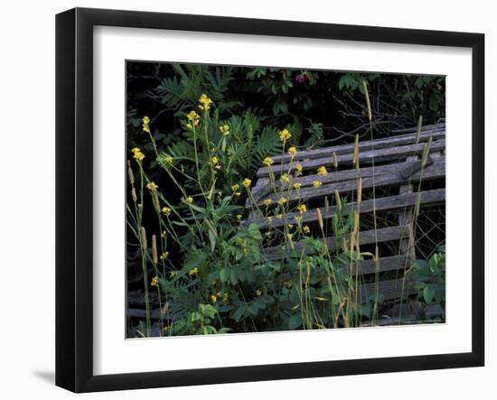 Lobster Traps, Maine, USA-Jerry & Marcy Monkman-Framed Photographic Print