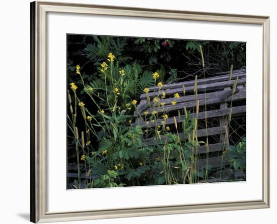 Lobster Traps, Maine, USA-Jerry & Marcy Monkman-Framed Photographic Print