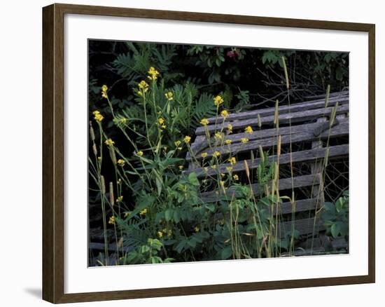 Lobster Traps, Maine, USA-Jerry & Marcy Monkman-Framed Photographic Print
