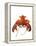 Lobster-David Nunuk-Framed Premier Image Canvas