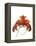 Lobster-David Nunuk-Framed Premier Image Canvas