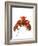 Lobster-David Nunuk-Framed Photographic Print