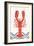 Lobster-Yuyu Pont-Framed Art Print