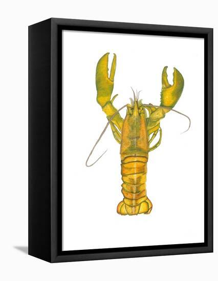 Lobster-Akin Durodola-Framed Premier Image Canvas