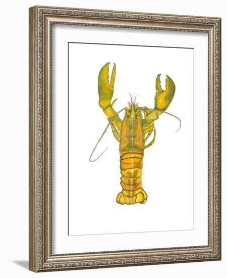 Lobster-Akin Durodola-Framed Photographic Print