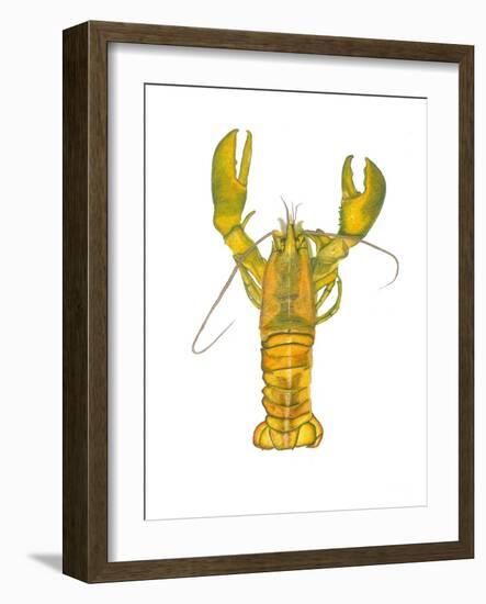 Lobster-Akin Durodola-Framed Photographic Print