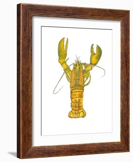 Lobster-Akin Durodola-Framed Photographic Print