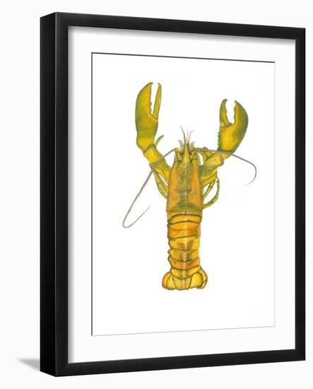 Lobster-Akin Durodola-Framed Photographic Print