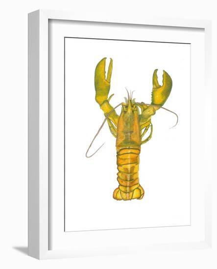 Lobster-Akin Durodola-Framed Photographic Print