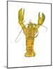 Lobster-Akin Durodola-Mounted Photographic Print