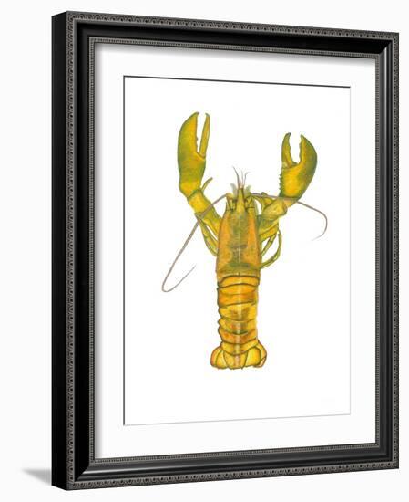 Lobster-Akin Durodola-Framed Photographic Print