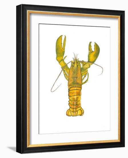 Lobster-Akin Durodola-Framed Photographic Print