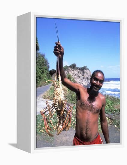 Lobsterman at Grants Bay, St. Vincent and the Grenadines-Bill Bachmann-Framed Premier Image Canvas