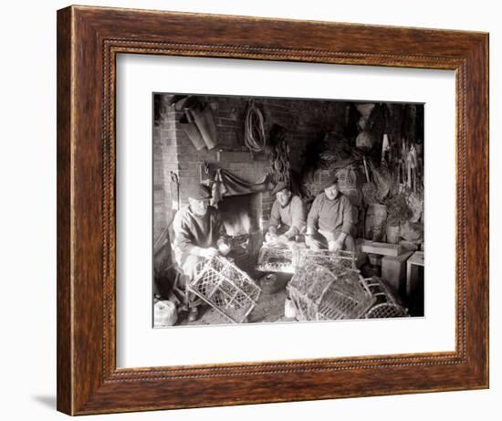 Lobstermen Repair Their Pots in Their Shanty at the West End of Bridlington Harbour, June 1936-null-Framed Photographic Print