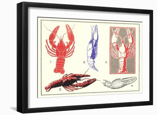 Lobsters-null-Framed Art Print