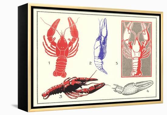 Lobsters-null-Framed Stretched Canvas