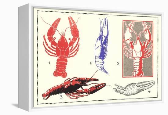 Lobsters-null-Framed Stretched Canvas