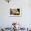 Local Cafe and Restaurant, Zell Am See, Pinzgau, Salzkammergut, Austria, Europe-Doug Pearson-Framed Photographic Print displayed on a wall