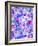 Local Color Purple-Jacqueline Maldonado-Framed Art Print