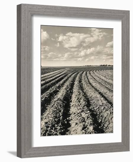 Local Farmland-Jerry Cooke-Framed Photographic Print