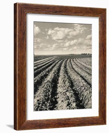 Local Farmland-Jerry Cooke-Framed Photographic Print