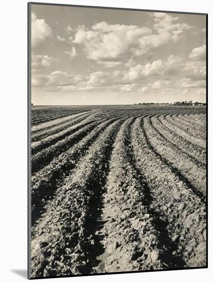 Local Farmland-Jerry Cooke-Mounted Photographic Print