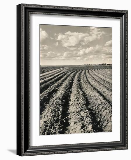 Local Farmland-Jerry Cooke-Framed Photographic Print