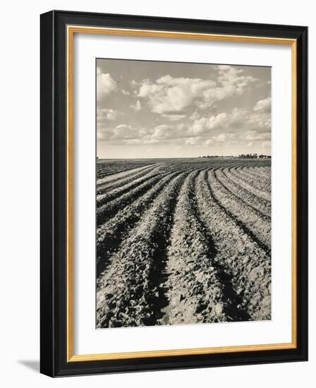 Local Farmland-Jerry Cooke-Framed Photographic Print