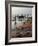 Local Fishermen Landing Catch, Benaulim, Goa, India, Asia-Stuart Black-Framed Photographic Print