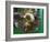 Local Food on Dish, Orissa, India-Keren Su-Framed Photographic Print