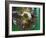 Local Food on Dish, Orissa, India-Keren Su-Framed Photographic Print